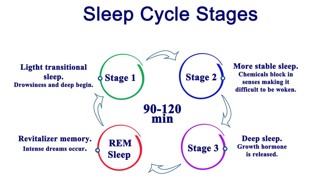 Stages of Sleep: 9 Incredible Insights Into Nightly Restoration